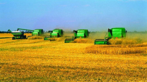 Thị trường nông sản thế giới tập trung chờ báo cáo mới từ Bộ Nông nghiệp Hoa Kỳ