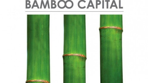 Nợ vay của Bamboo Capital (BCG) tăng “chóng mặt”