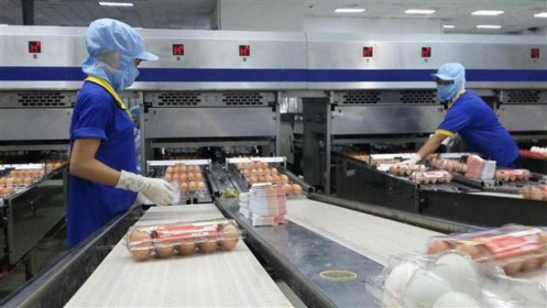 Doanh nghiệp nóng lòng chờ 'mở cửa'