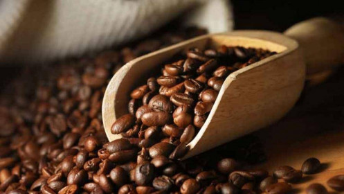 Phân tích nhóm nguyên liệu công nghiệp 10/9: Giá cà phê có xu hướng giảm so với phiên hôm qua