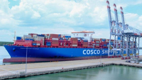 Cục Hàng hải yêu cầu công khai giá cước và phụ thu vận tải container bằng đường biển