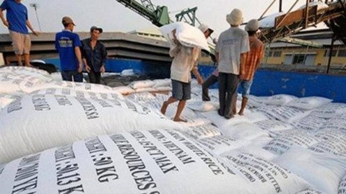 Doanh nghiệp không dám ký thêm hợp đồng mới, xuất khẩu gạo khó hoàn thành mục tiêu