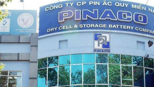 Pin Ắc quy Miền Nam (PAC): Đầu tư Sài Gòn 3 Capital mua thêm 2,3 triệu cổ phiếu