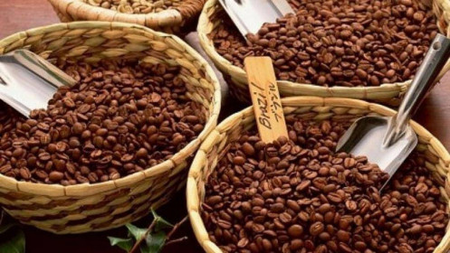 Giá cà phê Robusta giảm nhẹ, Cà phê Arabica tăng 3%