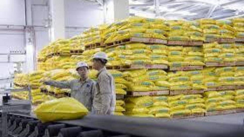 DCM - DPM trở lại đường đua. Quý 4 có đáng đầu tư?
