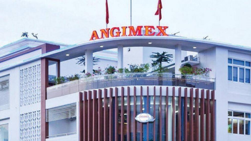 Angimex (AGM): Câu chuyện M&A thiếu tính thuyết phục