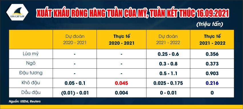 Weekly Export Sales – Báo Cáo Doanh Số Xuất Khẩu Hàng Tuần Là Gì?