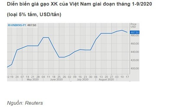 Phân tích cổ phiếu LTG