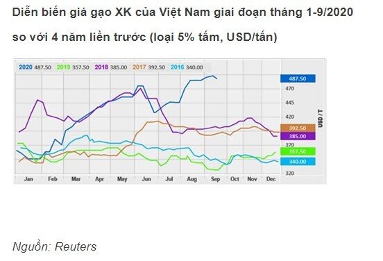 Phân tích cổ phiếu LTG