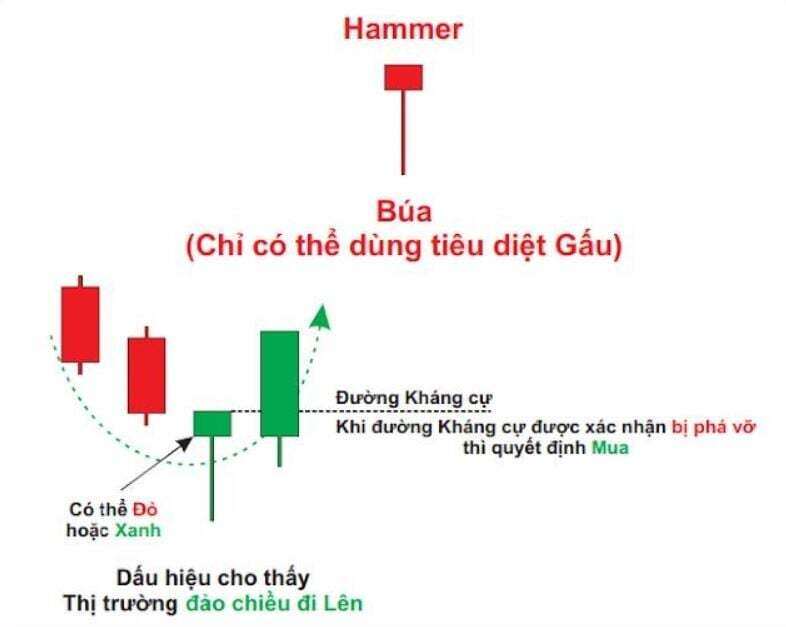 Phân tích kỹ thuật: Nến nhật và các loại nến cơ bản (P1)