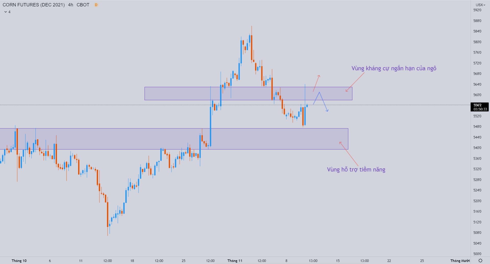Phân tích nhóm nông sản ngày 10/11: Quỹ đầu cơ mua ròng nông sản khi báo cáo wasde được phát hành