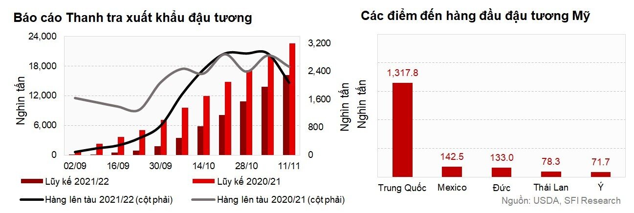 Giao hàng ngô và lúa mì mỹ vượt xa kỳ vọng từ thị trường