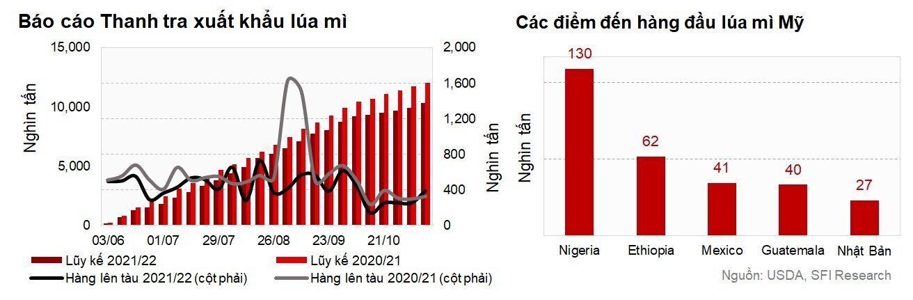 Giao hàng ngô và lúa mì mỹ vượt xa kỳ vọng từ thị trường