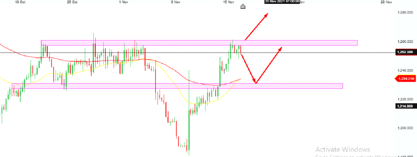 Bản tin nông sản ngày 17/11: Lúa mì có xu hướng tăng tiềm năng