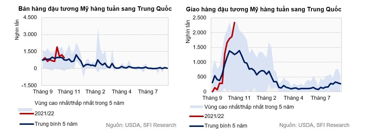 Tỷ lệ ép dầu tăng thúc đẩy Trung Quốc tăng mua đậu tương trở lại