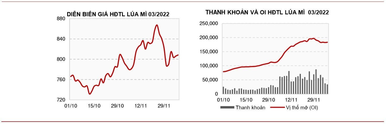 Bản tin hàng hóa ngày 08/12: Giá đậu tương sụt giảm khi không có đơn hàng mới sang Trung Quốc