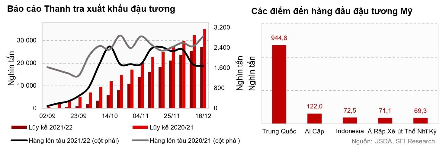 Giao hàng ngô có xu hướng tăng ngắn hạn