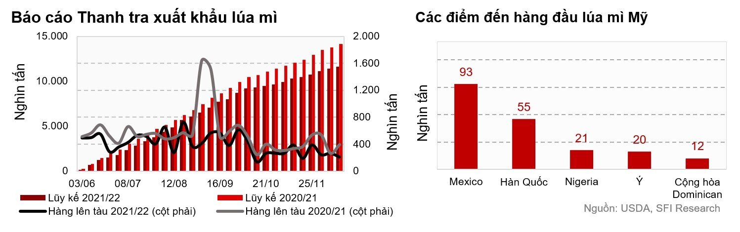 Giao hàng ngô có xu hướng tăng ngắn hạn