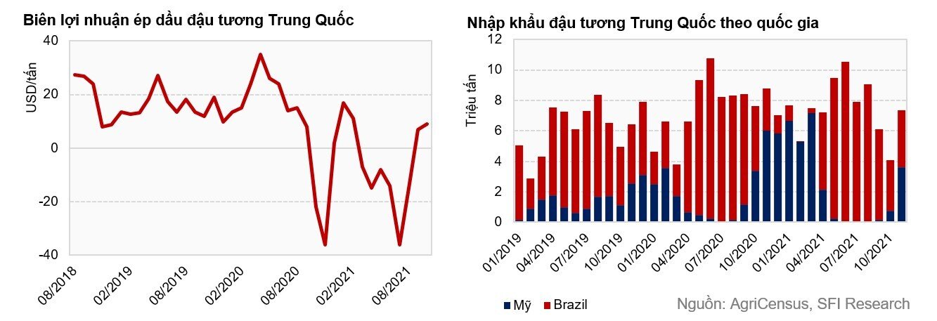 Giá đậu tương sẽ chịu áp lực giảm trong năm 2022 bất chấp đà tăng mạnh thời gian qua