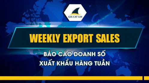 Weekly Export Sales – Báo Cáo Doanh Số Xuất Khẩu Hàng Tuần Là Gì?