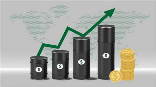Phân tích nhóm năng lượng 12/10: Giá dầu thô có thể tăng nhờ nguồn tiêu thụ mạnh mẽ