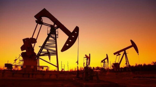 Khủng hoảng năng lượng đẩy giá dầu lên mức cao nhất 7 năm