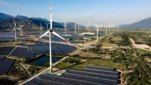 Vì sao điện than tăng thêm 3.000MW trong Quy hoạch Điện VIII?