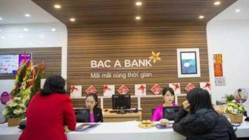 Tăng thu từ chứng khoán đầu tư, Bac A Bank báo lãi trước thuế quý 3 tăng 58%
