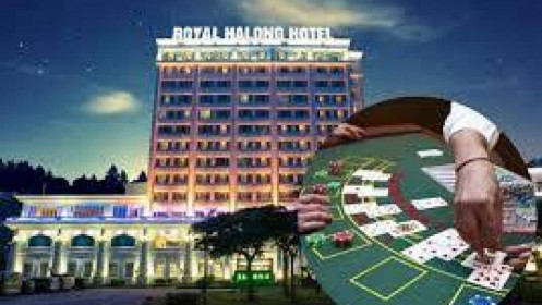 Casino Royal Hạ Long lỗ lũy kế 380 tỷ đồng, có nguy cơ bị huỷ niêm yết