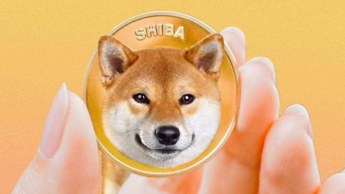 Shiba Inu - đồng coin 'trò đùa' tăng 50% trong một ngày
