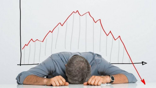 Đầu tư chứng khoán và “học phí” tỷ đô: Nếu đọc kho sách này, mọi việc đã khác