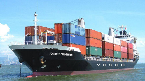 Doanh nghiệp vận tải biển thắng đậm nhờ giá cước tăng