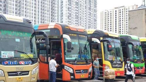 "Liên hoàn cước" giá xăng, doanh nghiệp vận tải "lãnh đủ”