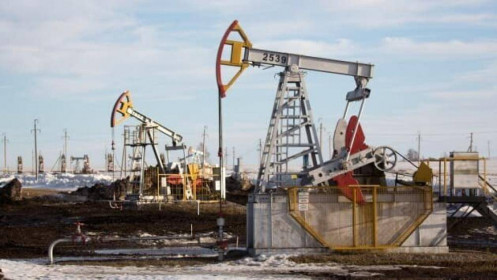 Thị trường dầu thô ngày 2/11: Dầu thô biến động nhẹ chờ đợi những thông tin từ cuộc họp OPEC trong tuần này
