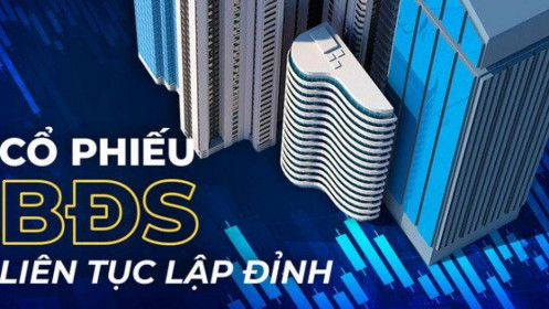 Nhà đầu tư đang kỳ vọng gì ở nhóm BĐS và quan điểm về thị trường