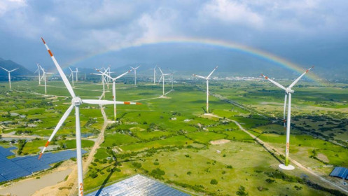 Thị trường năng lượng tái tạo Việt Nam thu hút dòng vốn ngoại lớn