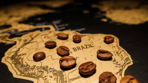 Lần đầu tiên trong nhiều thập kỷ, nhiều tập đoàn cà phê nguy cơ vỡ nợ nông dân trồng cà phê ở Brazil “bùng hàng” để bán với giá cao hơn.