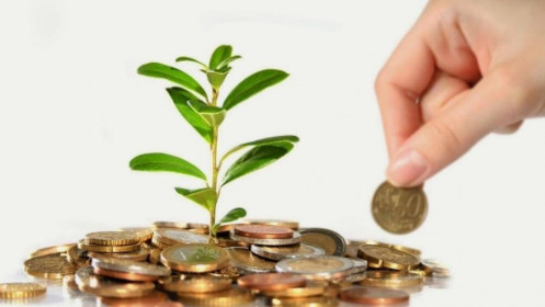 Nghệ thuật dụng vốn và phương pháp rút lãi