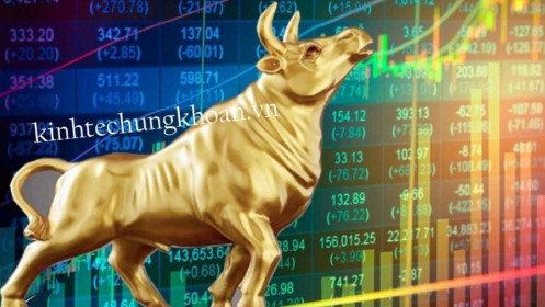 VIETNAM INDEX CHÀO BUỔI SÁNG 9/11/2021: “Con vua thì lại làm vua”