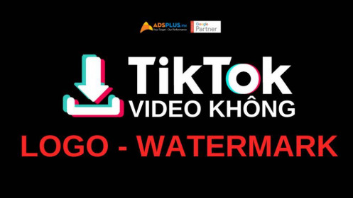 Cách tải Video từ TikTok không chứa Logo, Watermark
