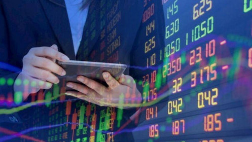 Vì sao chỉ số xanh nhưng danh mục đỏ nhẹ ?