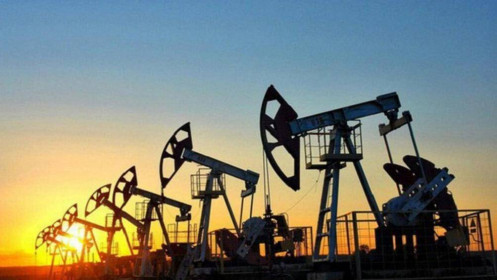 Bản tin dầu WTI ngày 09/11: Giá dầu giảm từ mức tăng do triển vọng kinh tế toàn cầu tốt hơn