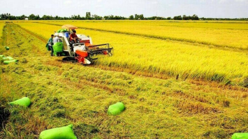 Quốc hội quyết giữ hơn 3,5 triệu ha đất trồng lúa
