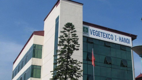 Vegetexco lỗ ròng hơn 49 tỷ đồng trong quý 3, dòng tiền kinh doanh âm gần 1,800 tỷ đồng