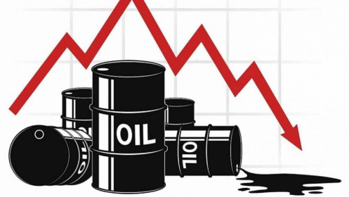 Phân tích nhóm năng lượng ngày 19/11: Giá dầu thô giảm do Mỹ và Trung Quốc giải phóng kho dự trữ