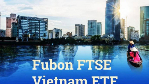 FTSE Vietnam ETF thêm mới DPM, DGC và DIG trong kỳ cơ cấu tháng 12