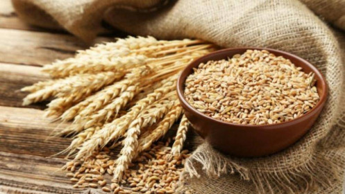 Thị trường hàng hóa ngày 22/11: Giá lúa mì tăng vọt kéo nhóm nông sản giao dịch tích cực