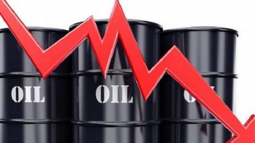 Phân tích nhóm năng lượng ngày 22/11: Giá dầu giảm do giải phóng nguồn cung khẩn cấp