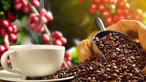 Giá cà phê vẫn có thể tăng tiếp do nguồn cung cạn kiệt