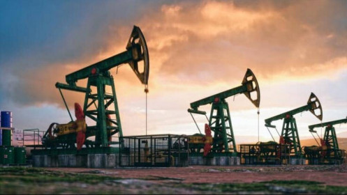 Giá dầu thô giảm trở lại, thị trường tập trung theo dõi việc các quốc gia xả bán dầu từ kho dự trữ